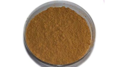 Estratto di Agaricus Blazei Murill Biologico in polvere