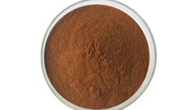 Estratto di tè nero biologico in polvere