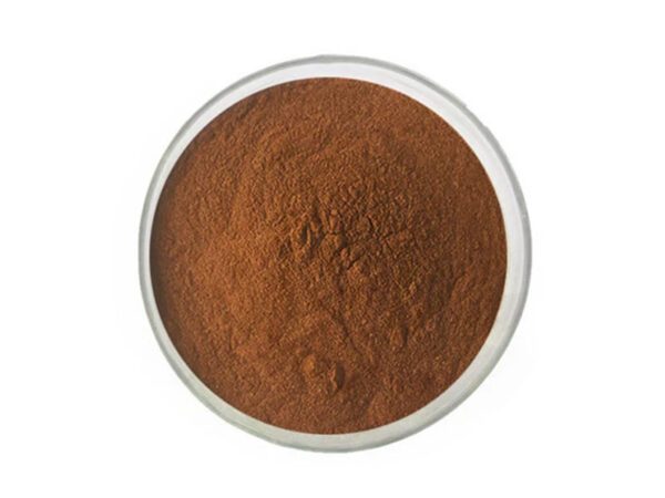 Estratto di tè nero biologico in polvere