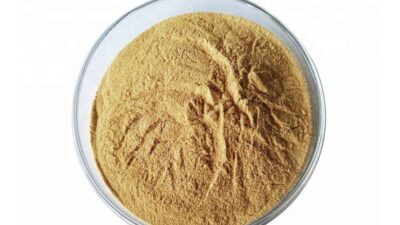 Estratto di avena biologica in polvere