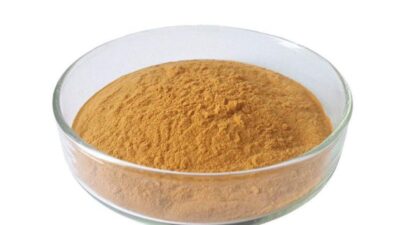 Estratto di tè Oolong biologico in polvere