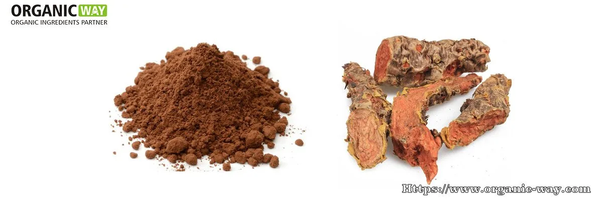 Polvere Di Estratto Di Rhodiola Rosea Organic Rhodiola Rosea Extract Powder