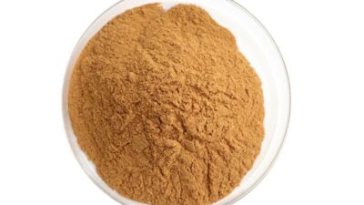 Estratto di tè bianco biologico in polvere