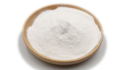 Estratto di corteccia di salice bianco biologico in polvere