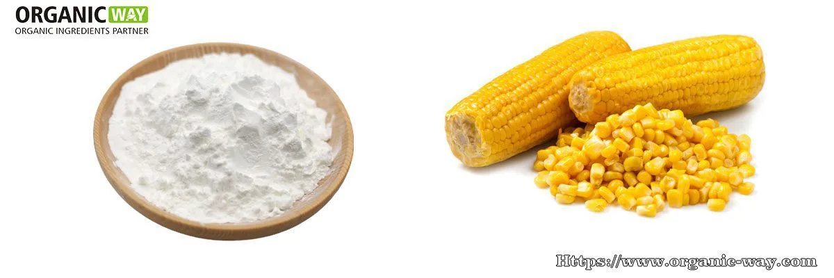 Amido Di Mais Biologico In Polvere Organic-Cornstarch