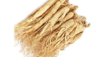 radice di ginseng biologico