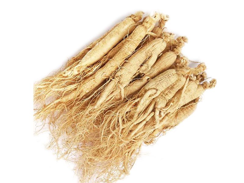 Radice di ginseng biologica radice di ginseng biologico
