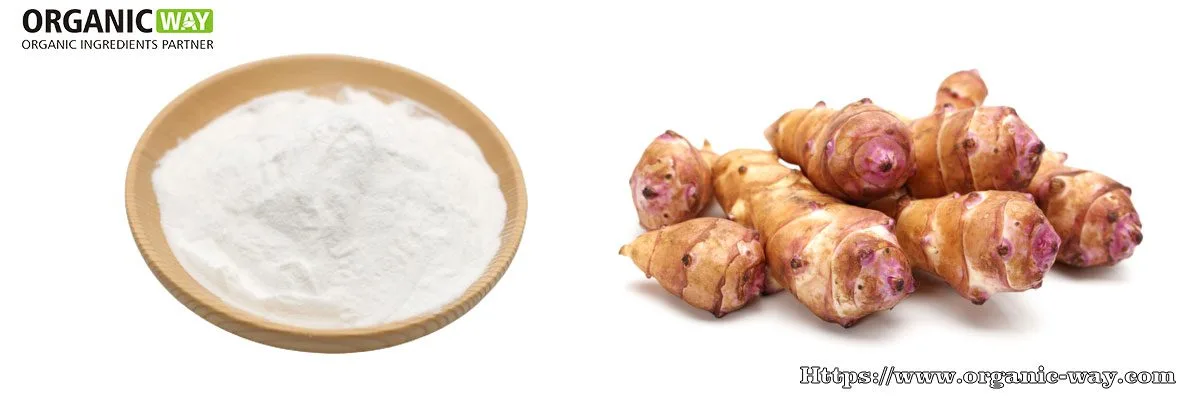 Polvere Di Inulina Biologica Organic-Inulin