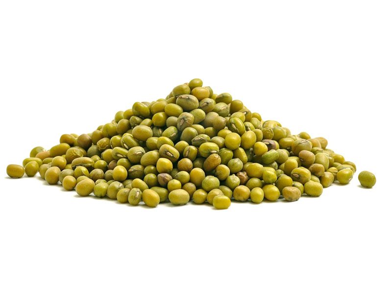 Fagiolo verde biologico Fagiolo Mungo Biologico
