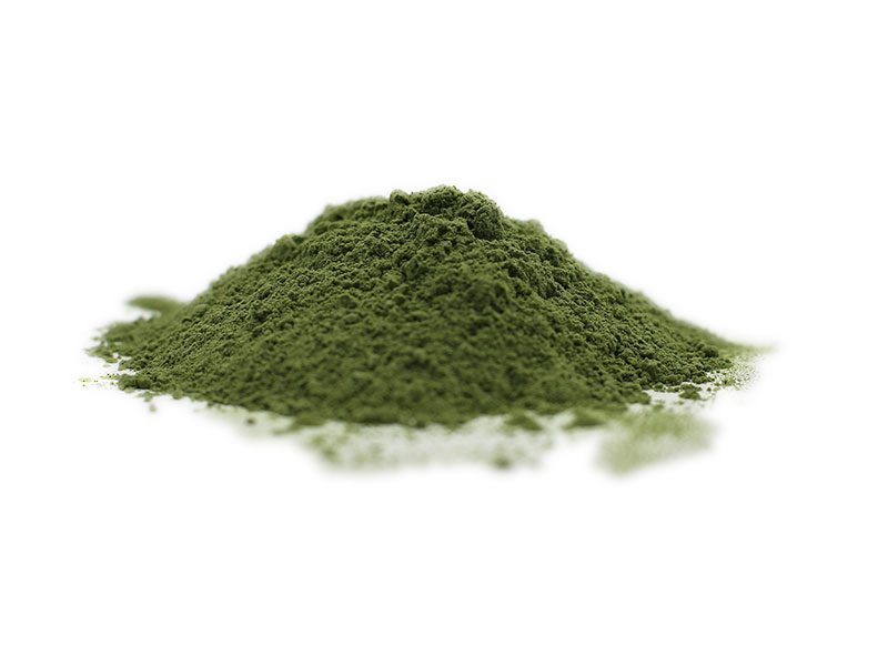 Erba di avena biologica in polvere Erba di avena biologica in polvere