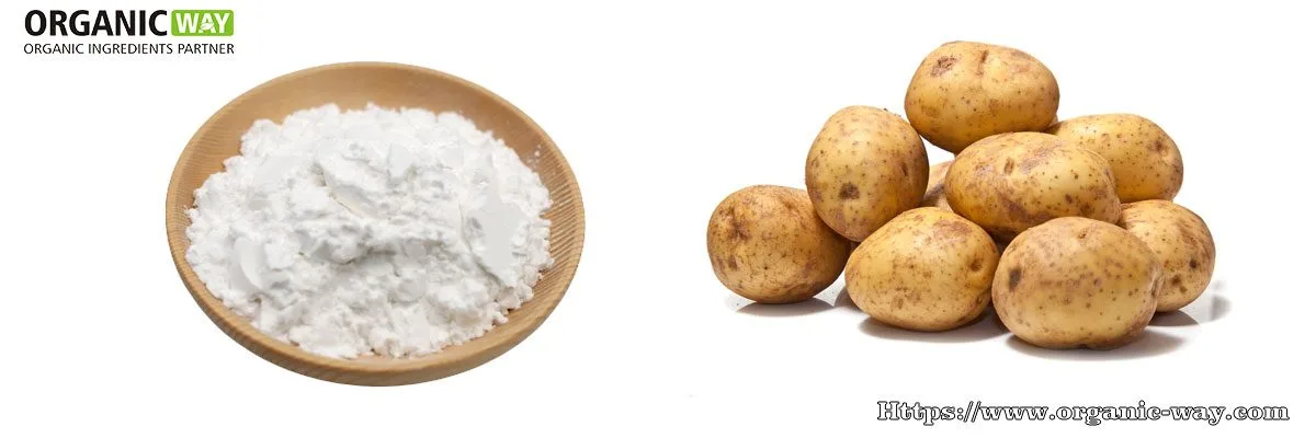 Amido Di Patate Biologico In Polvere Fecola Di Patate Biologica