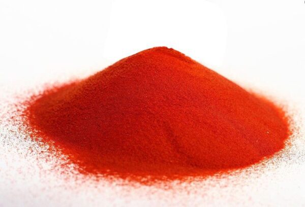 polvere di pomodoro biologico