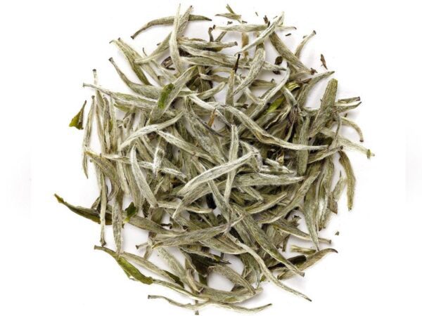 tè bianco biologico