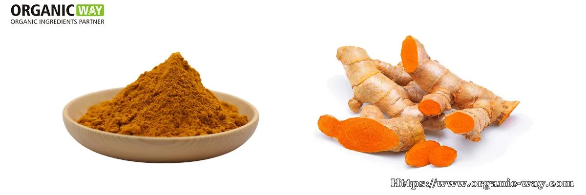 Polvere Di Estratto Di Curcuma Biologica Estratto Di Curcuma Biologico