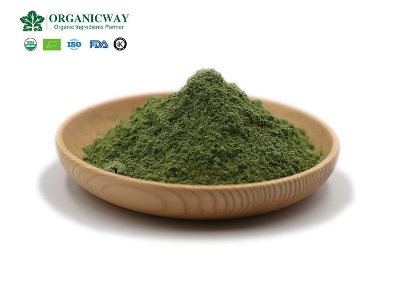 Qual è l'effetto dell'assunzione di polvere di erba d'orzo? barley grass powder