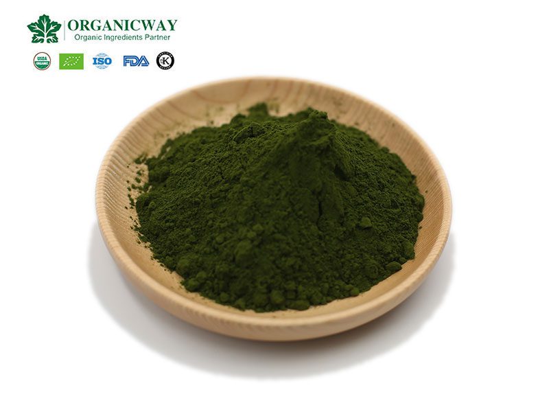 11 segreti sconosciuti della clorella: l'efficacia e la funzione delle compresse di clorella chlorella powder