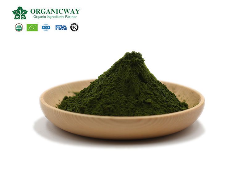 chlorella powder