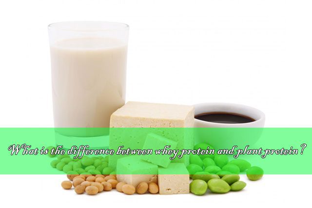 Qual è la differenza tra proteine del siero di latte e proteine vegetali? different between whey protein and plant protein