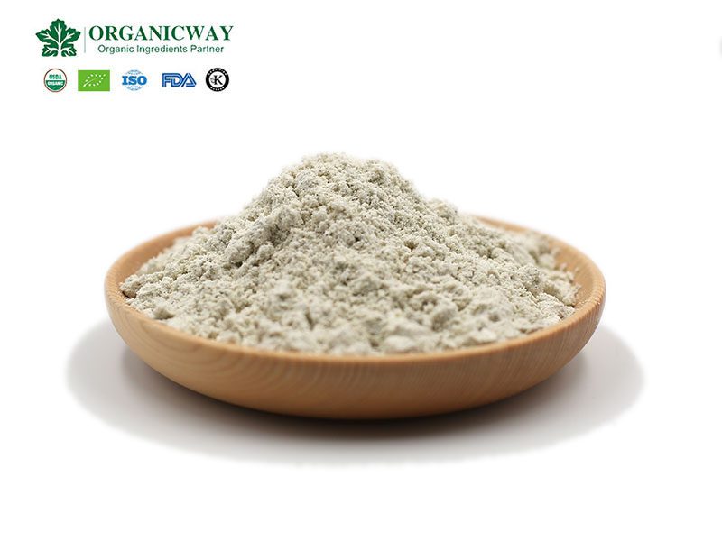 Ricetta delle proteine dei semi di canapa hemp protein