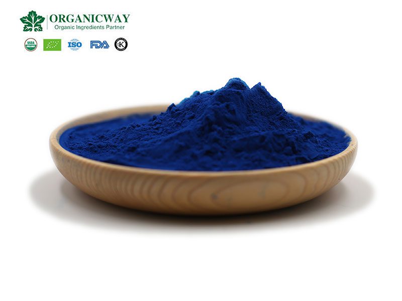 Oro blu in natura: ficocianina phycocyanin powder
