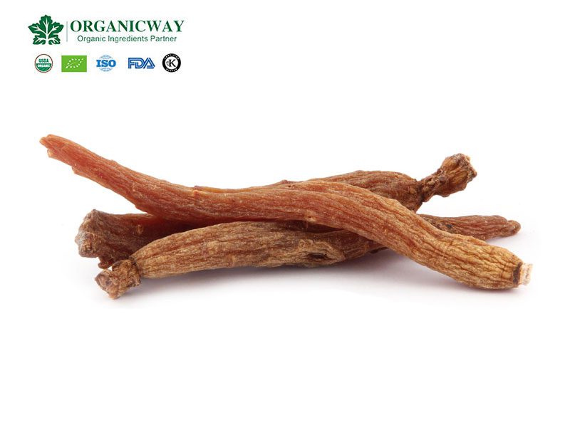 Efficacia e funzioni del ginseng rosso red ginseng root