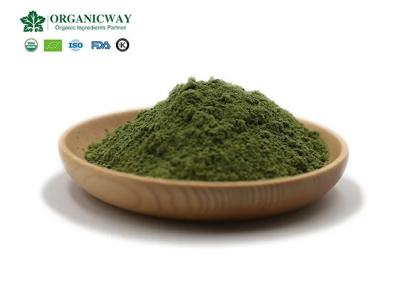 Quali Sono I Benefici Per La Salute Della Polvere Di Erba Di Grano? Wheatgrass Powder