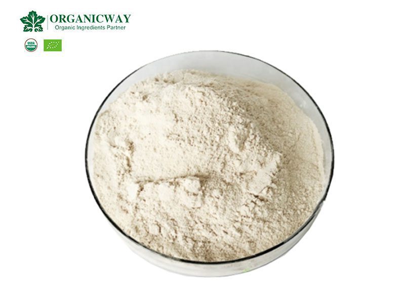 I dati nutrizionali della polvere di proteine di soia biologica organic soy protein nutrition facts