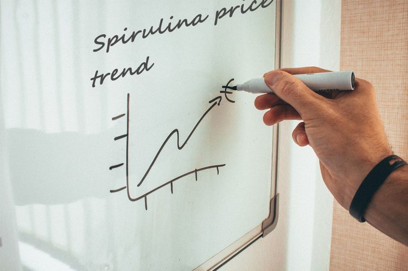 La polvere di spirulina e le compresse di spirulina sul mercato stanno affrontando la pressione di essere esaurite organic spirulina price trend