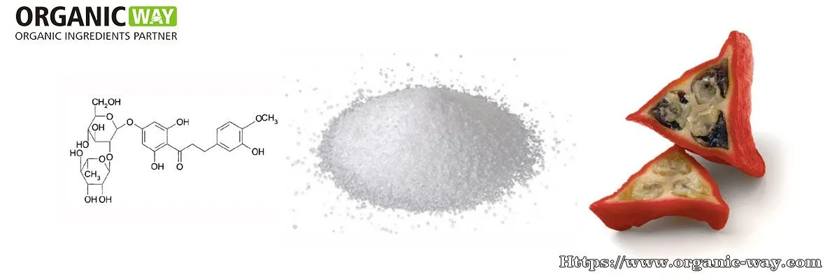 Polvere Di Taumatina Organic Thaumatin Powder
