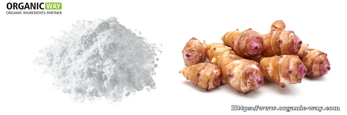 Fruttooligosaccaridi (Fos) Organic-Fructooligosaccharide-Powder