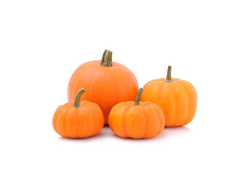 Spiega in dettaglio l'efficacia e la funzione delle proteine dei semi di zucca biologici pumpkin