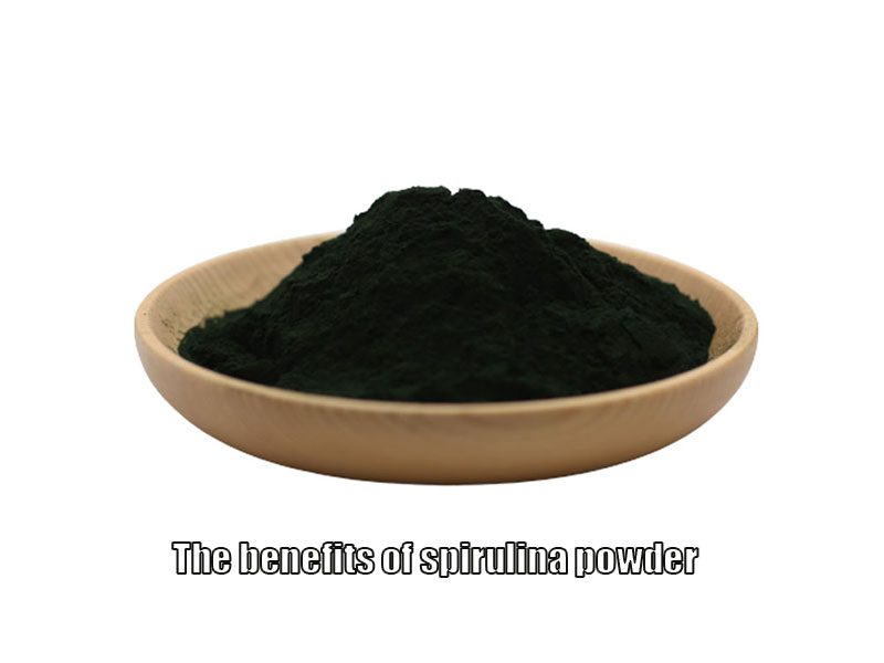 Quanto ne sai dei benefici per la salute di alghe, supercibi Spirulina e Chlorella the benefits of spirulina powder