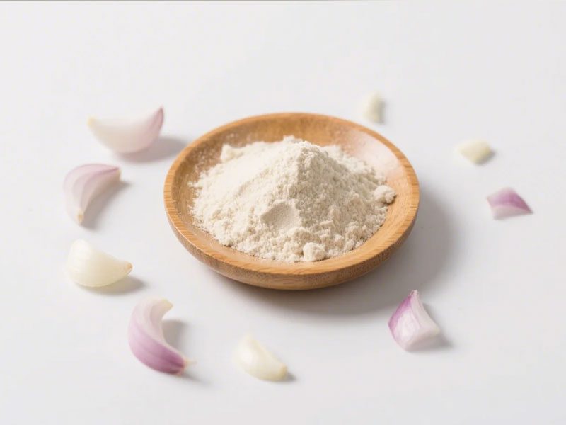 Polvere di cipolla biologica organic onion powder
