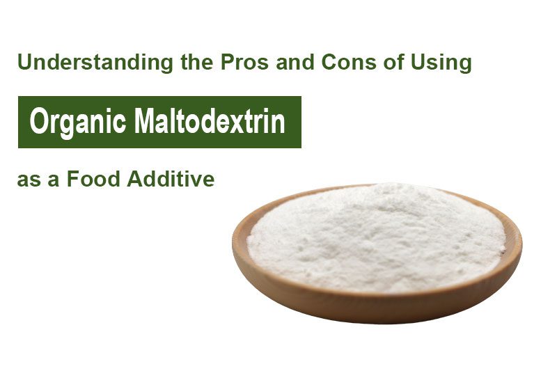 Comprensione dei pro e dei contro dell'utilizzo della maltodestrina organica come additivo alimentare Understanding the Pros and Cons of Using Organic Maltodextrin as a Food Additive