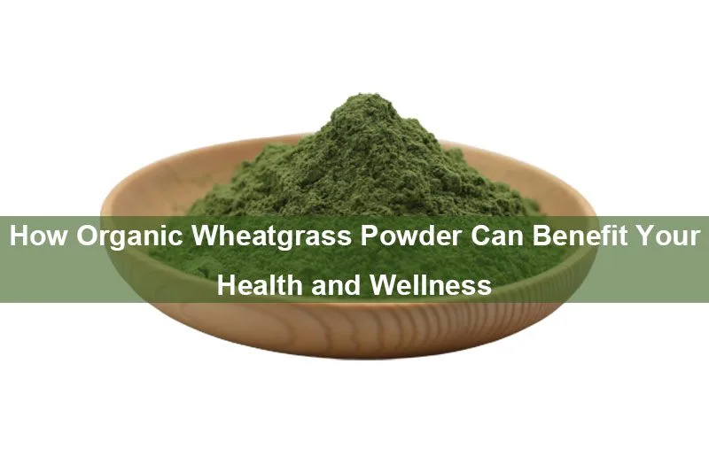 Come La Polvere Di Erba Di Grano Biologica Può Giovare Alla Vostra Salute E Al Vostro Benessere How Organic Wheatgrass Powder Can Benefit Your Health And Wellness