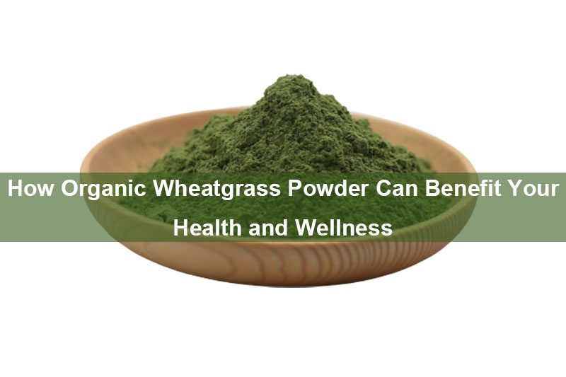 In che modo la polvere di erba di grano biologica può giovare alla tua salute e al tuo benessere How Organic Wheatgrass Powder Can Benefit Your Health and Wellness