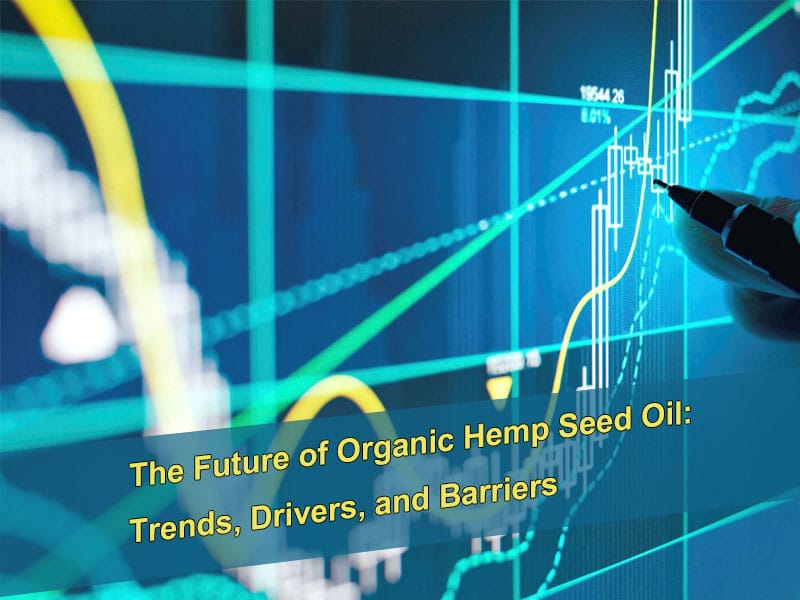 Il futuro dell'olio di semi di canapa biologico: tendenze, driver e barriere The Future of Organic Hemp Seed Oil: Trends, Drivers, and Barriers