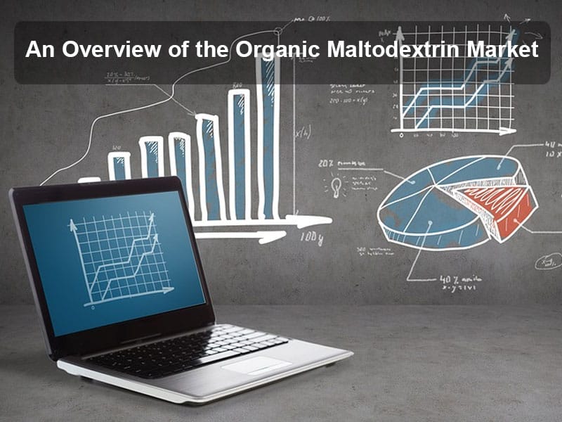 Una panoramica del mercato delle maltodestrine organiche: dimensioni, segmenti, tendenze e fattori trainanti An Overview of the Organic Maltodextrin Market