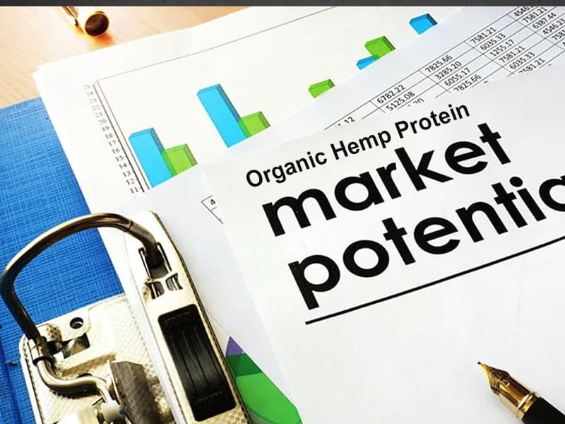 Proteine di canapa organiche: un superfood a base vegetale con un enorme potenziale di mercato Organic Hemp Protein: A Plant-Based Superfood with Huge Market Potential