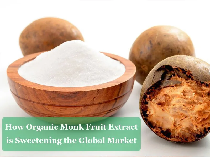 Come L'Estratto Di Frutto Del Monaco Biologico Sta Addolcendo Il Mercato Globale How Organic Monk Fruit Extract Is Sweetening The Global Market