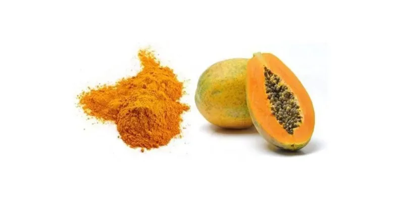 Esplorando La Versatilità E I Benefici Per La Salute Della Polvere Di Papaia Biologica In Cucina Organic Papaya Powder