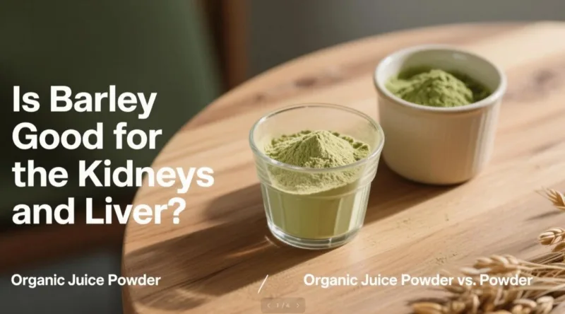 L'Orzo Fa Bene A Reni E Fegato? Polvere Di Succo Biologica Vs. Polvere Is Barley Good For The Kidneys And Liver? Organic Juice Powder Vs. Powder