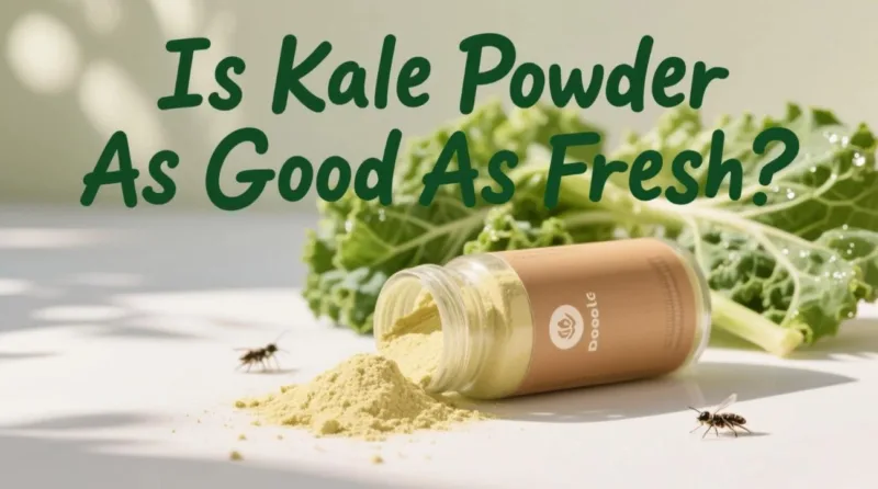 La Polvere Di Cavolo Riccio È Buona Quanto Il Fresco? La Sfida Biologica Is Kale Powder As Good As Fresh? Organic Showdown