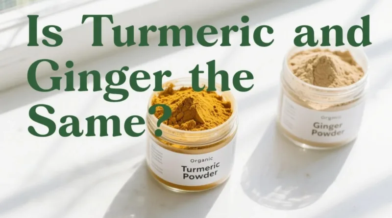 Curcuma E Zenzero Sono La Stessa Cosa? Polvere Di Curcuma Biologica Vs Polvere Di Zenzero, Decodificate Is Turmeric And Ginger The Same