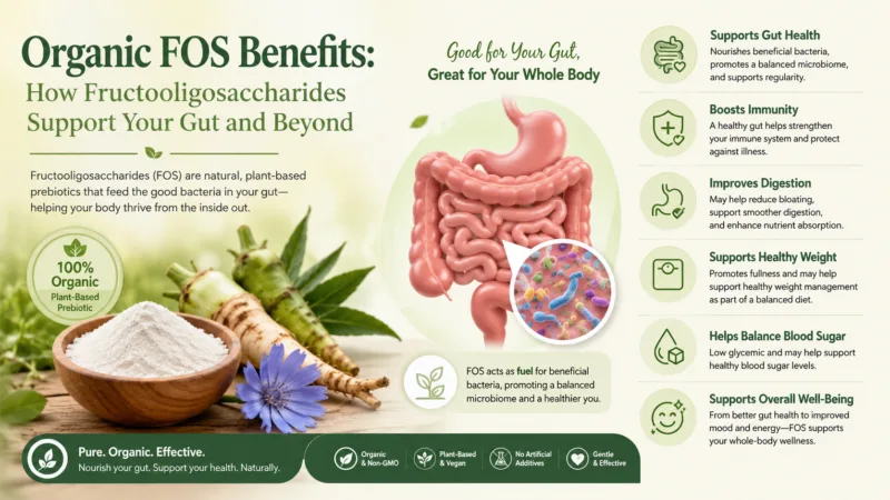 Benefici Dei Fos Biologici: Come I Fruttoligosaccaridi Sostengono L'Intestino E Oltre Organic Fos Benefits: How Fructooligosaccharides Support Your Gut And Beyond