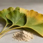 Polvere di estratto di Ginkgo Biloba: guida all’acquisto su benefici, specifiche e formulazione