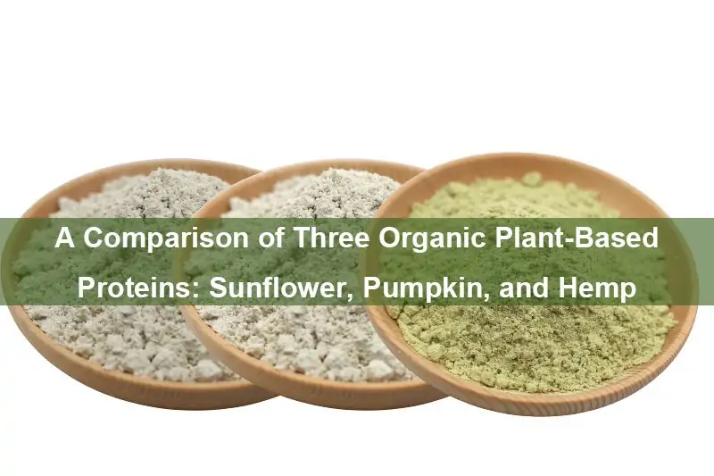 Un Confronto Di Tre Proteine Vegetali Organiche: Girasole, Zucca E Canapa A Comparison Of Three Organic Plant-Based Proteins: Sunflower, Pumpkin, And Hemp